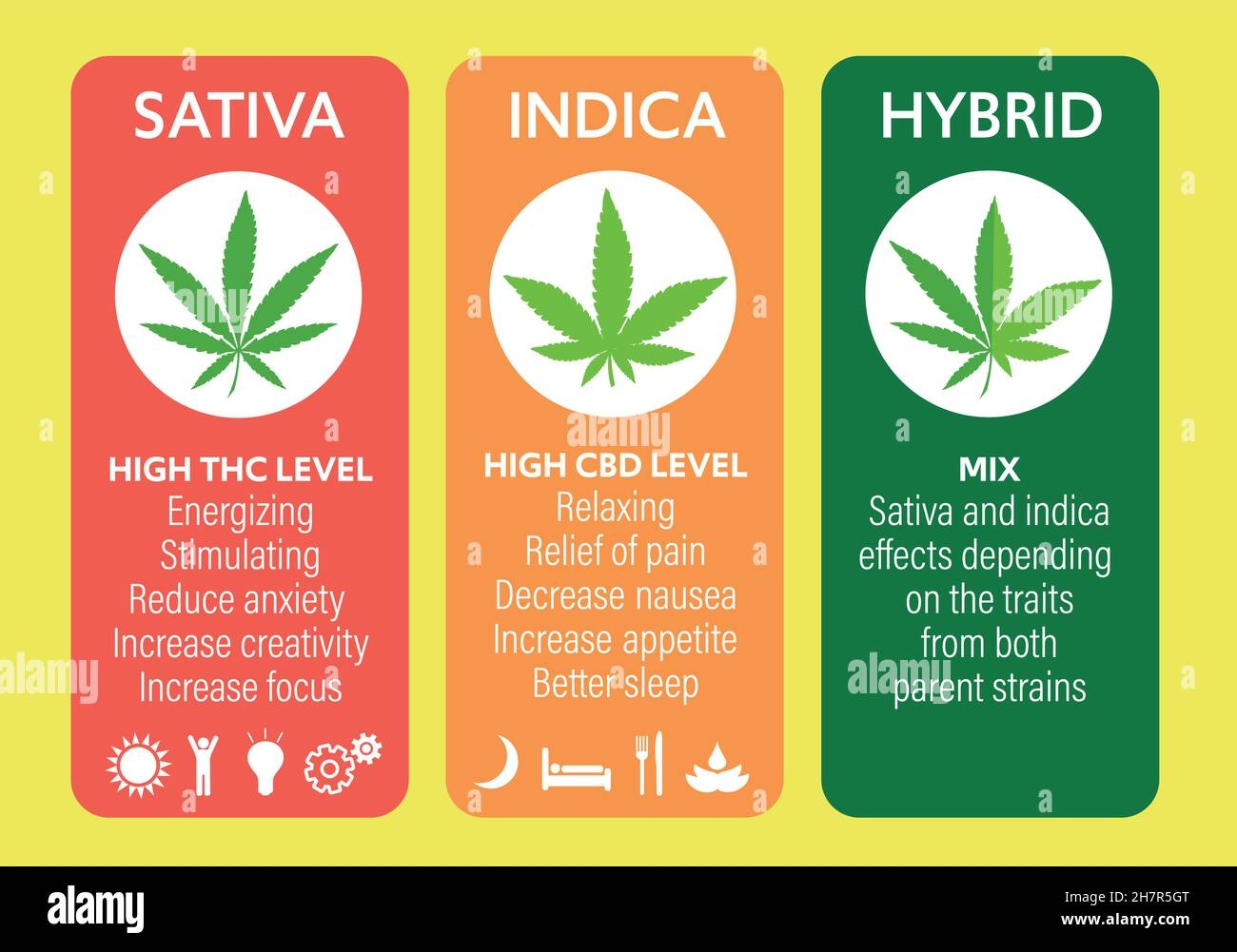 Comment choisir la concentration de CBD ?