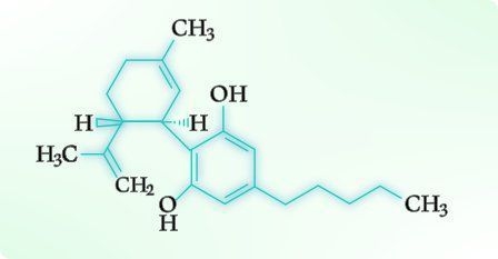 Comment utiliser le liquide CBD ?