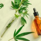 Est-ce que le CBD est en vente en pharmacie ?