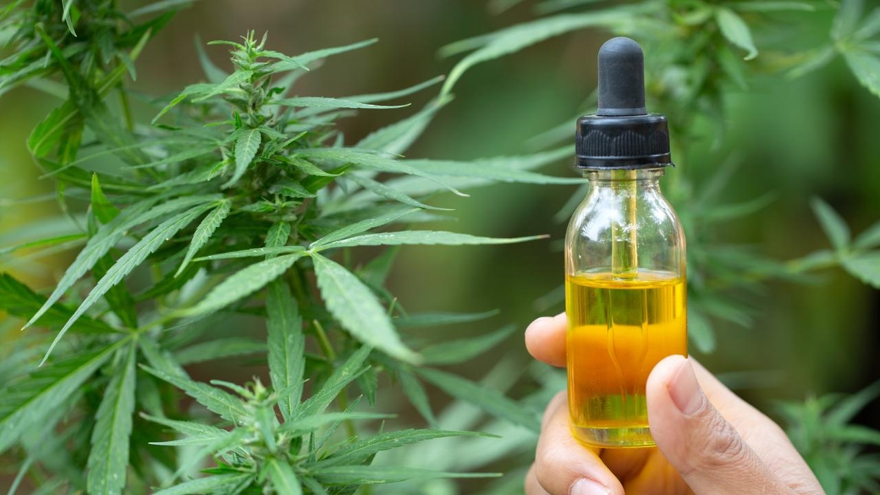 Pourquoi pas de CBD en pharmacie ?