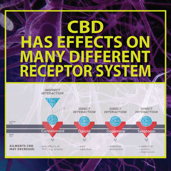 Quel est le prix du CBD ?